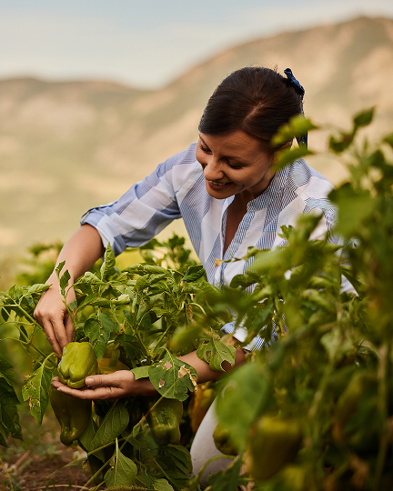 Local talent built through Texas A&M AgriLife and Citrus Centers.